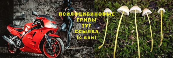 дурь Арсеньев