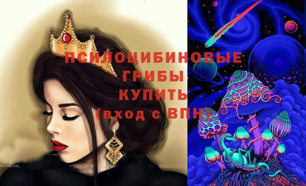 дурь Арсеньев