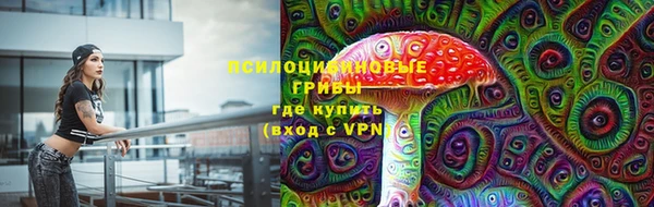 тгк Аркадак