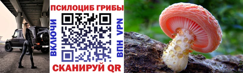 Псилоцибиновые грибы ЛСД  blacksprut маркетплейс  Семилуки 